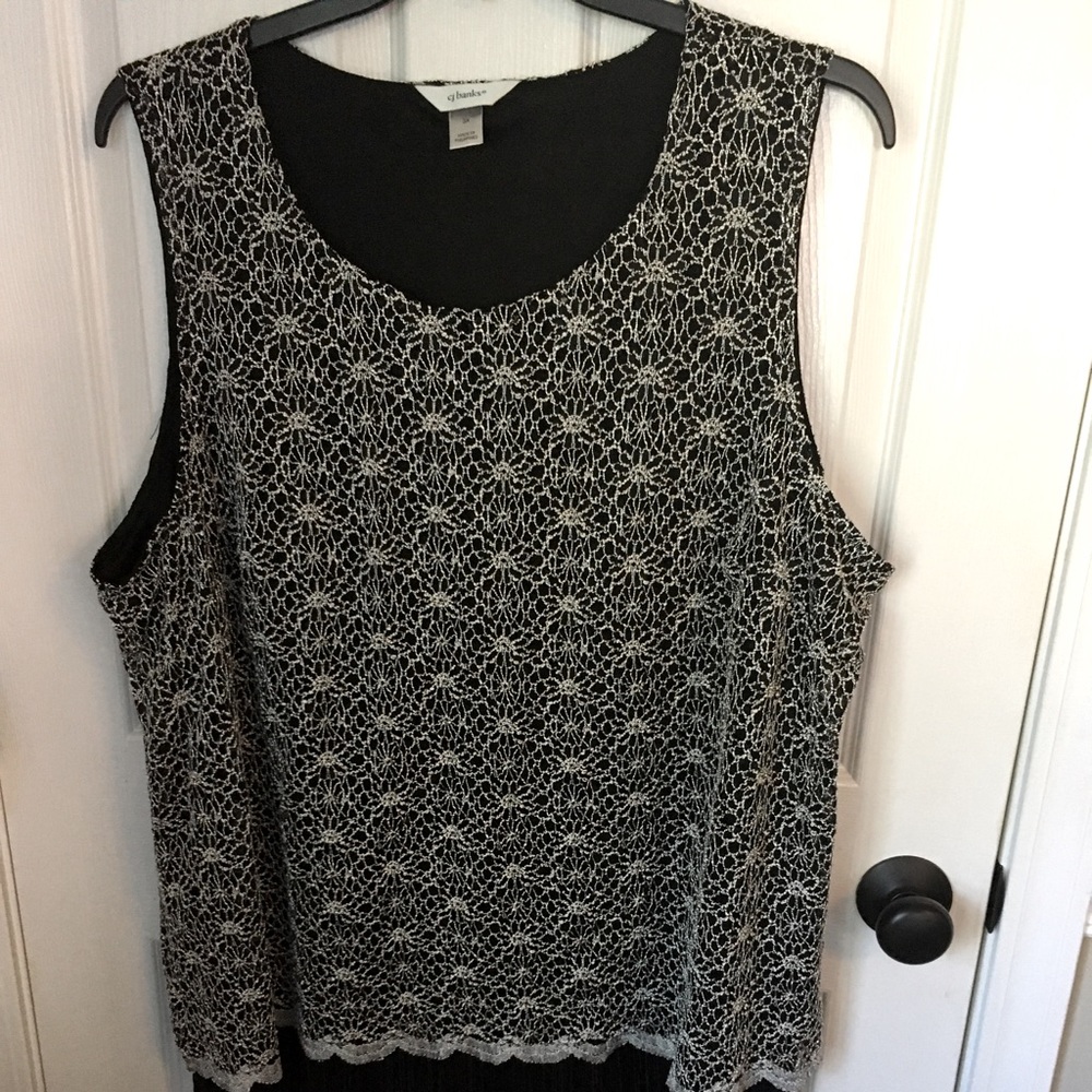 Beautiful sleeveless top, 3x, C J Banks